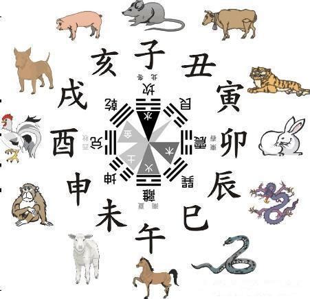 生肖屬馬 五行|生肖屬馬人的五行與財運